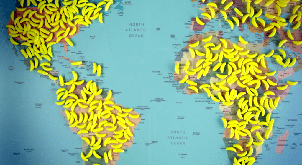 Extinct Bananas? Fruitfull Offices